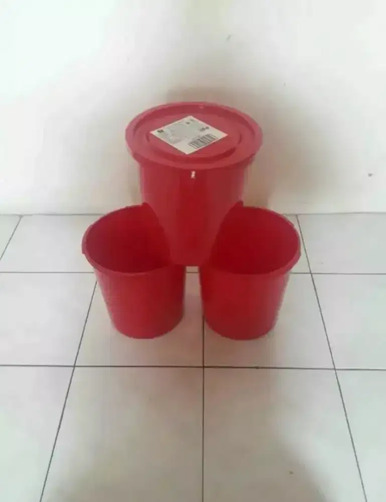BOX / toples es crim