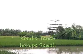 JUAL / SEWA TANAH Lokasi KOMERSIL Raya Juanda Sisi Utara, Surabaya