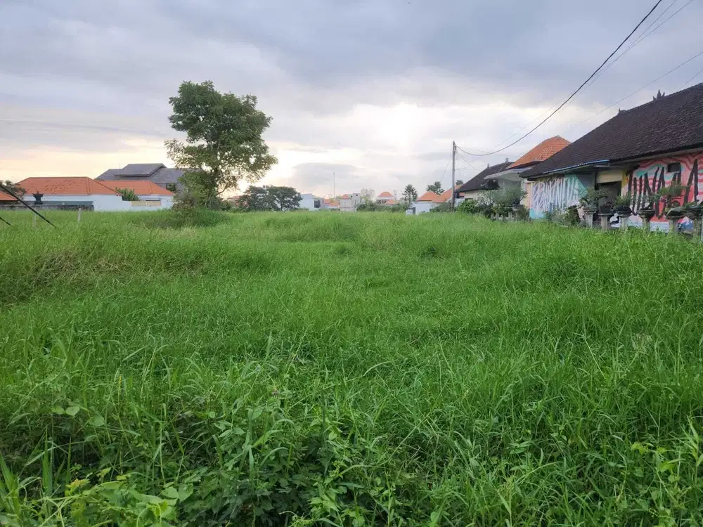 Tanah Komersial Disewakan di Padang Linjong Canggu