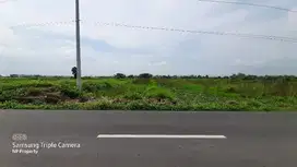 Tanah Sawah Murah Zona Kuning Dekat Umbul dan Exit Tol Kuncen