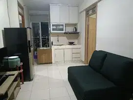 Apt green palm rapi dan bersih
