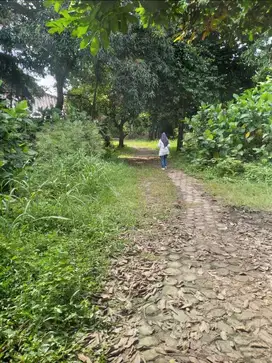 TANAH LUAS TANGSEL SANGAT COCOK UNTUK CLUSTER