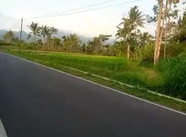 Tanah dekat aspal kampung jabung malang