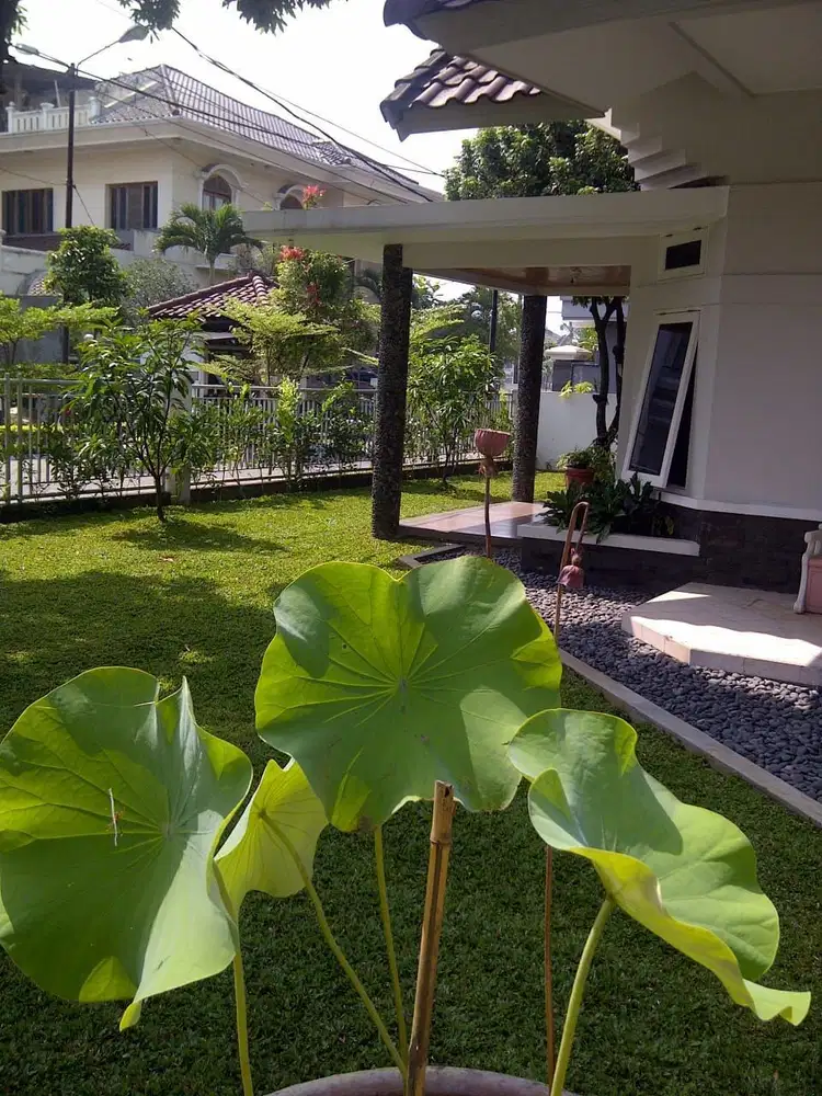 Termurah Rumah Cluster Batununggal Komplek Mewah