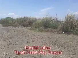 Lahan industry 14 HA harga 2,5 juta permeter di Balongbendo, SIdoarjo