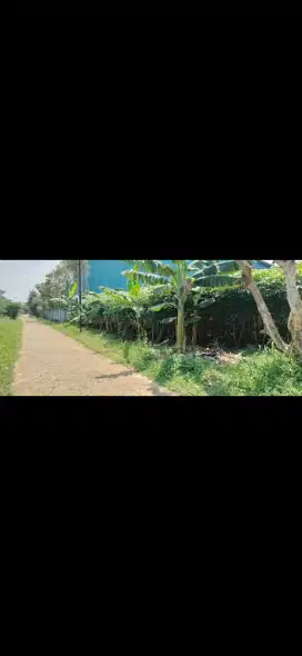 TANAH  BUAT GUDANG ATAU BUAT PERUM .MINIMALIS