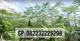 Dijual tanah pinggir jalan garahan jember