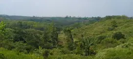 Di jual tanah kebun 1 hamparan di Warungkiara sukabumi