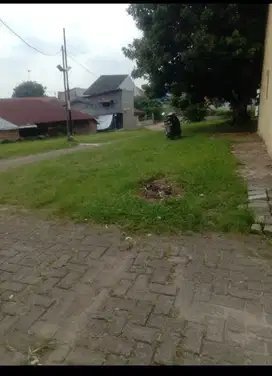 dijual tanah kavling murah  Nego daerah medan johor