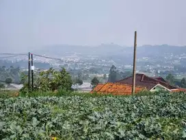 Tanah lembang asri