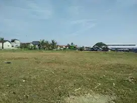 Lahan usaha luas 1,4 HA harga 6,5 juta permeter di Paciran, Lamongan
