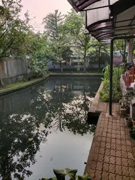 Dijual Rumah murah 500 m2 ada kolam ikan loji dekat RSUD kota Bogor