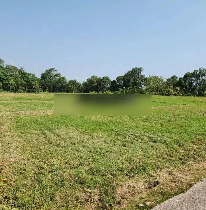 Tanah View sawah di jalan pantai kelating, akses jalan 6 meter beton