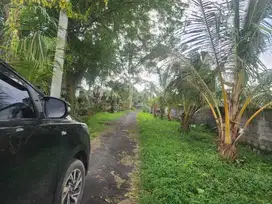 Tanah Murah Siap Bangun di Ubud Gianyar