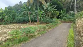 Tanah Dijual Langkapura