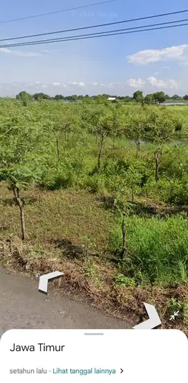 Lahan industri luas 5 HA harga 250 ribu permeter di Jabon, Sidoarjo