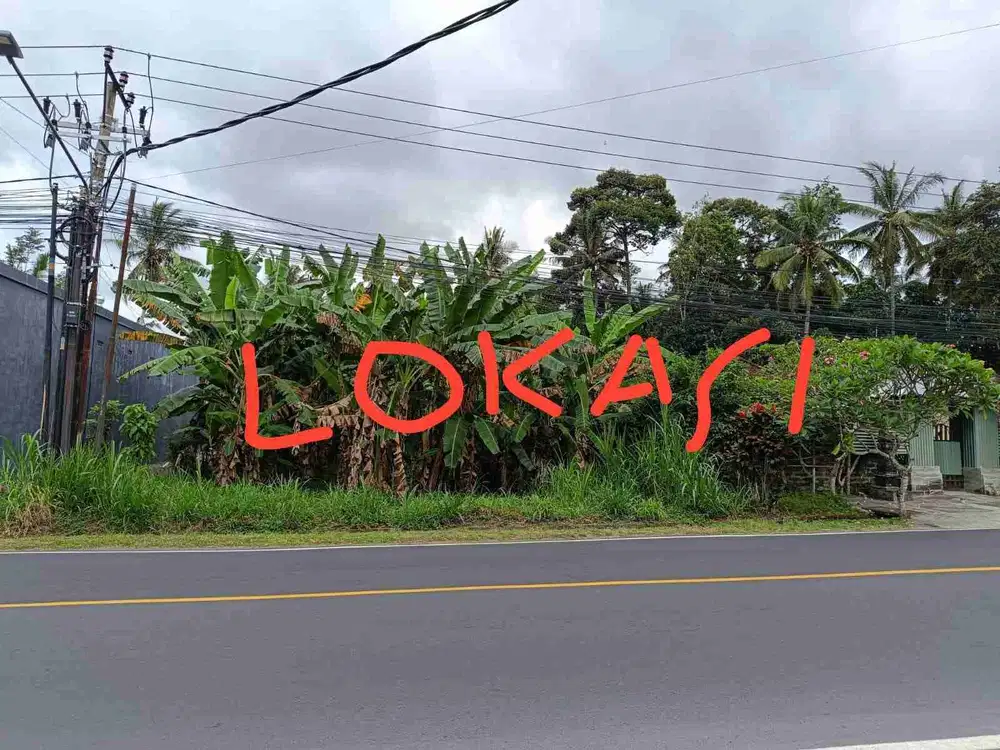 Dijual Tanah 6,35 Are di Jalan Utama Mengwi Dekat Coca Cola