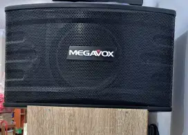 Speaker 8 + Amplifier