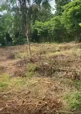 Dijual Tanah Lokasi Strategis