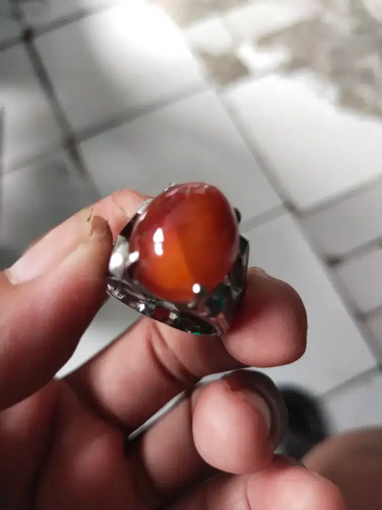 Pandan merah semu natural