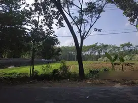 Tanah luas 4000 m untuk gudang di Jember