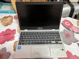 ASUS VivoBook E210MA