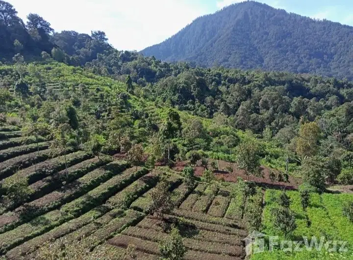 Land for sale in Banjar, Bali