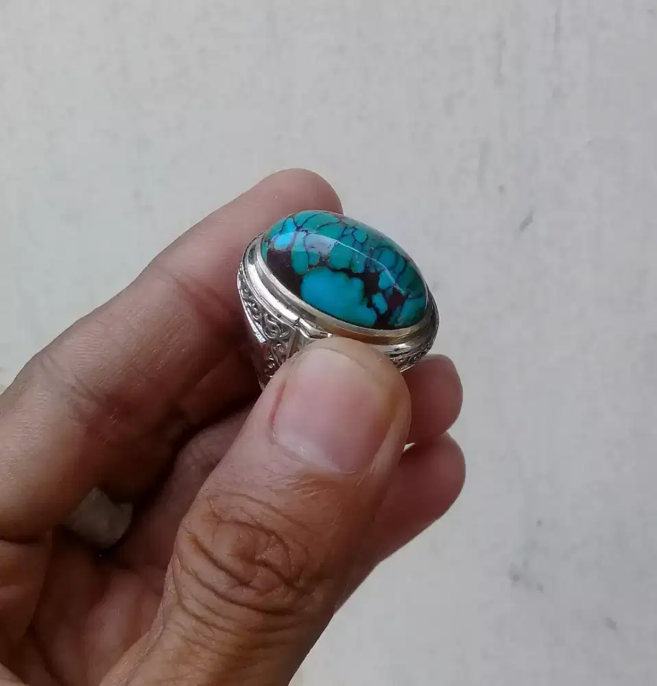 Pirus mesir est dim 23 x 14