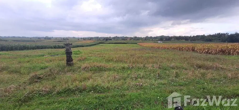 Land for sale in Kerambitan, Bali
