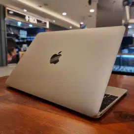 Macbook Retina 12 early 2016 ~ CORE M5 ~ SSD 500 GB