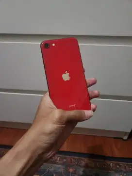 Iphone SE 2020 128gb ibox Second Normal Mulus