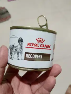 Perlengkapan kebutuhan anabul kucing