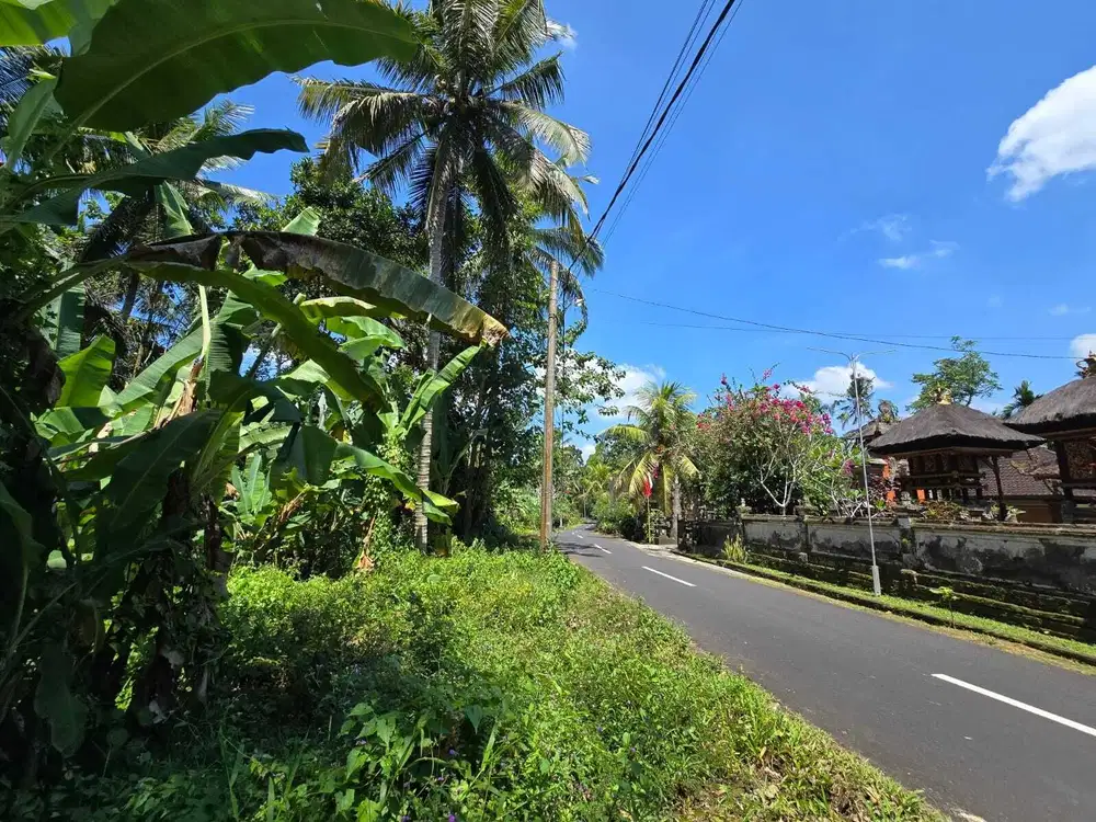 Dijual tanah premium murah dekat kota tabanan