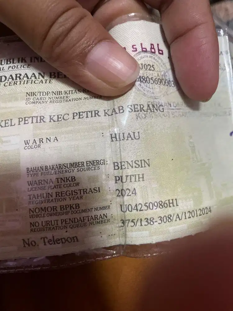 Beat Delux hijau dove mulus