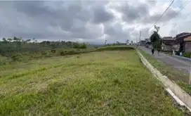 Tanah murah luas 2.57 ha di wagir malang bagus buat pondok, kebun, dll