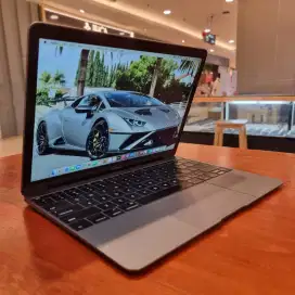 Macbook Retina 12 inch , early 2016- Grey