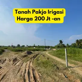 JUAL CEPAT TANAH PAKJO IRIGASI PALEMBANG