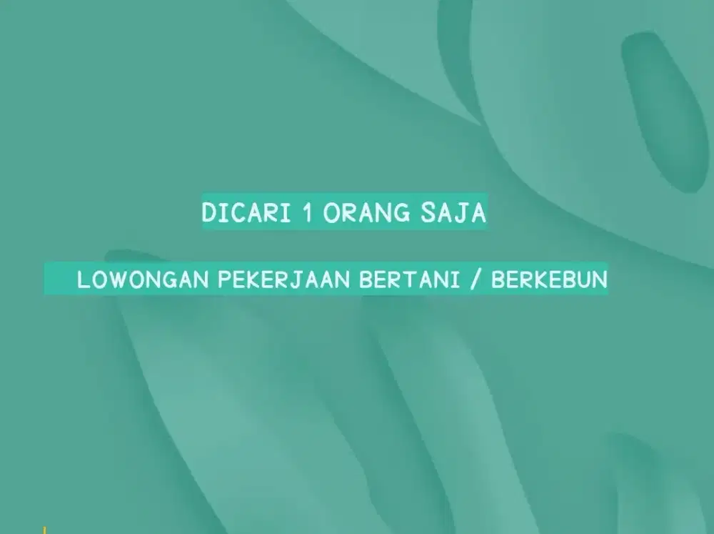 Petani area tarisi curug bitung