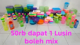 50rb dapat 1 lusin