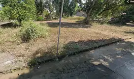 Pekarangan Luas, Tirtoadi, Cocok Perumahan dan Kavlingan