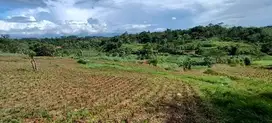 SUPER MURAH JUAL CEPAT LAHAN 7.5 H COGREG GUNUNG SINDUR BSD SERPONG