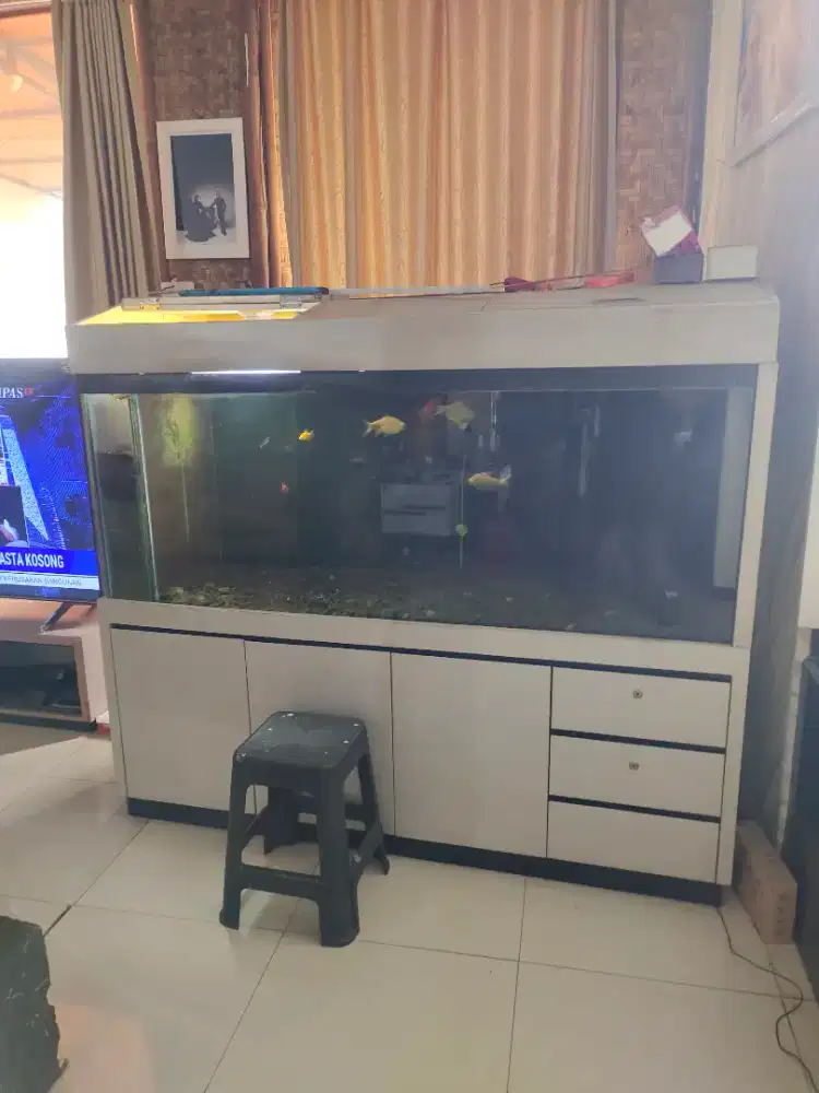 Aquarium besar bekas bagus mulus
