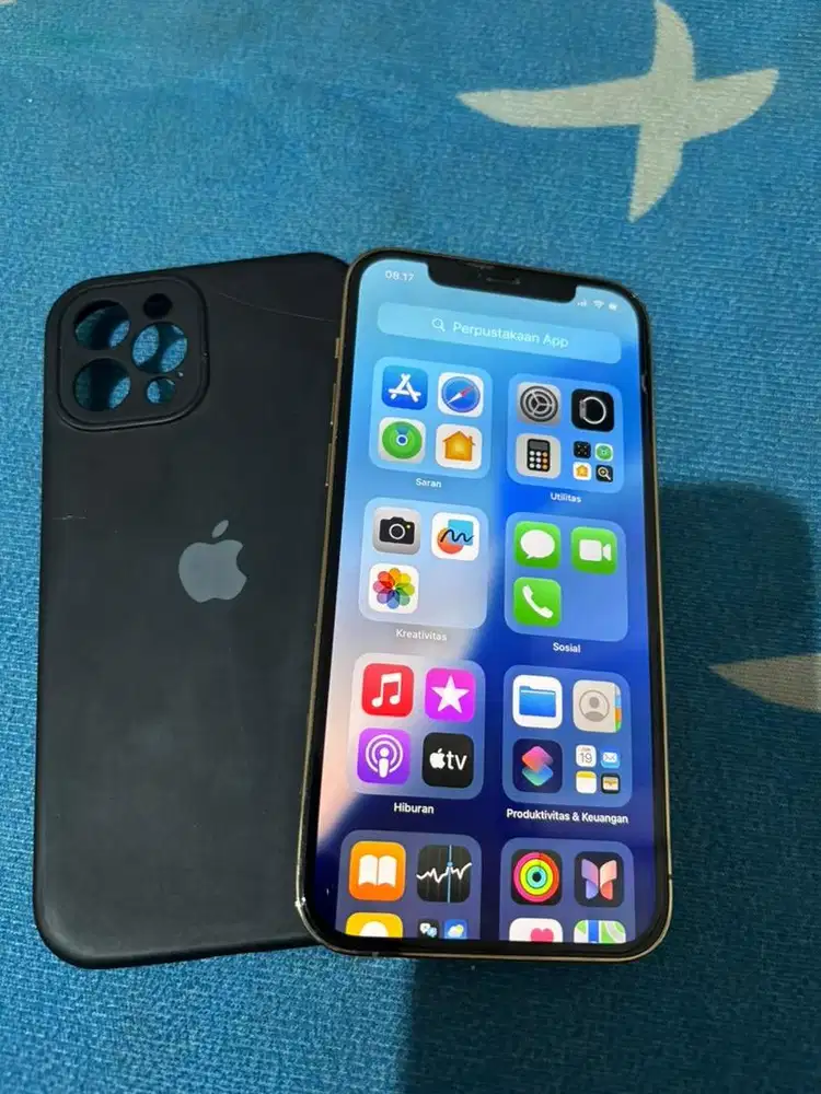 Iphone 12pro 256 gb garansi ibox
