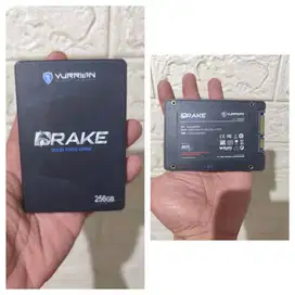 SSD 256GB Vurrion Drake (Pemakaian 5 Hari, Sentinel 100/100) Like New
