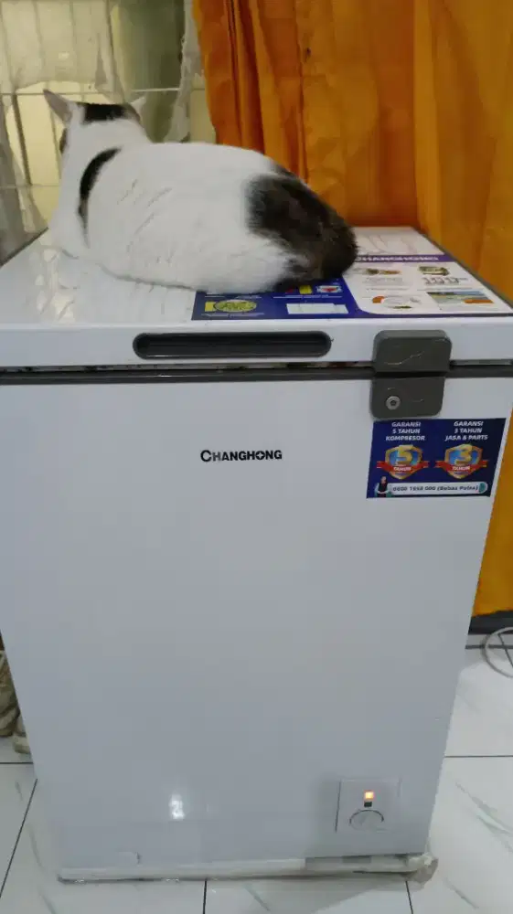 Freezer Murah Bagus Awet Changhong