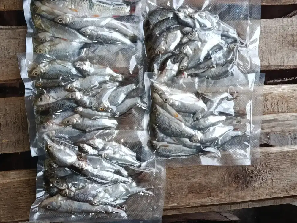 Wader Segar 200gr – Camilan Gurih Keluarga
