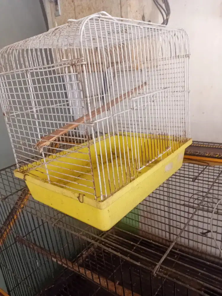 Jual kandang bekas burung