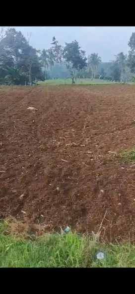 7200 m² NATAR - Purwosari Pinggir Jalan Desa