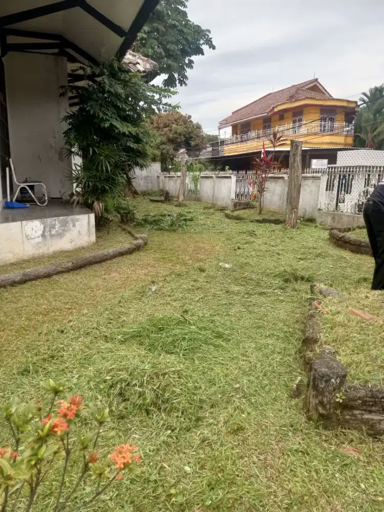 Tukang potong rumput Kemang jakarta selatan