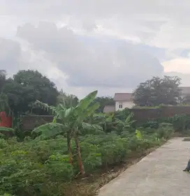 Tanah Tembalang Bulusan Selatan Undip